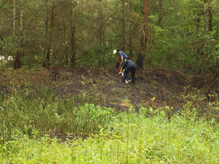 Waldbrand Bergisch Gladbach Bensberg P102.JPG